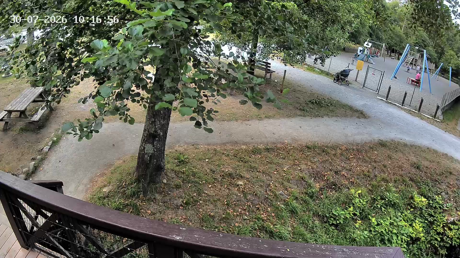 Webcam Image