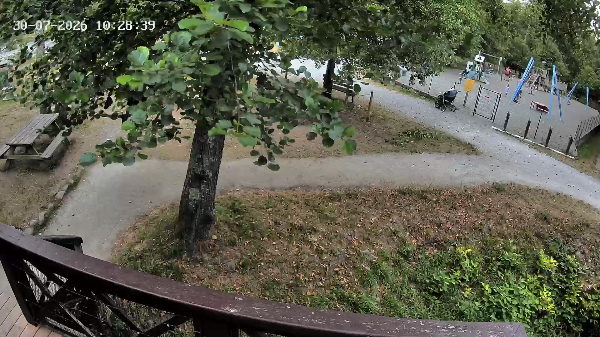 Webcam Image
