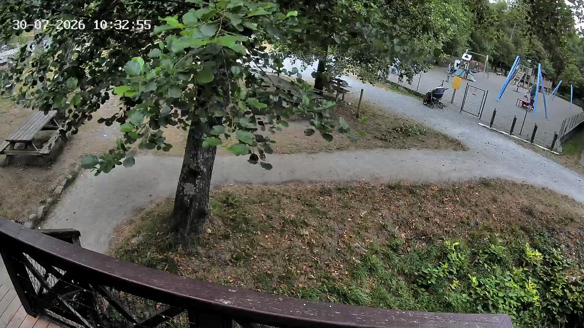 Webcam Image