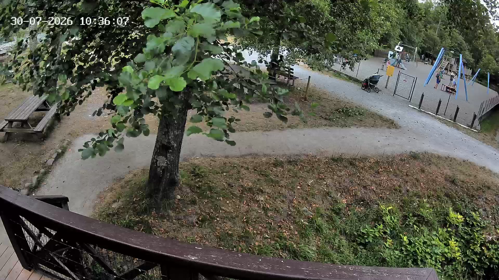 Webcam Image