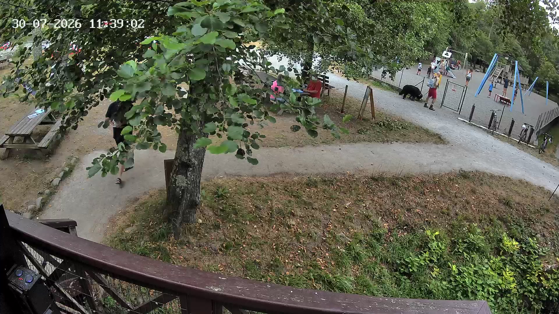 Webcam Image