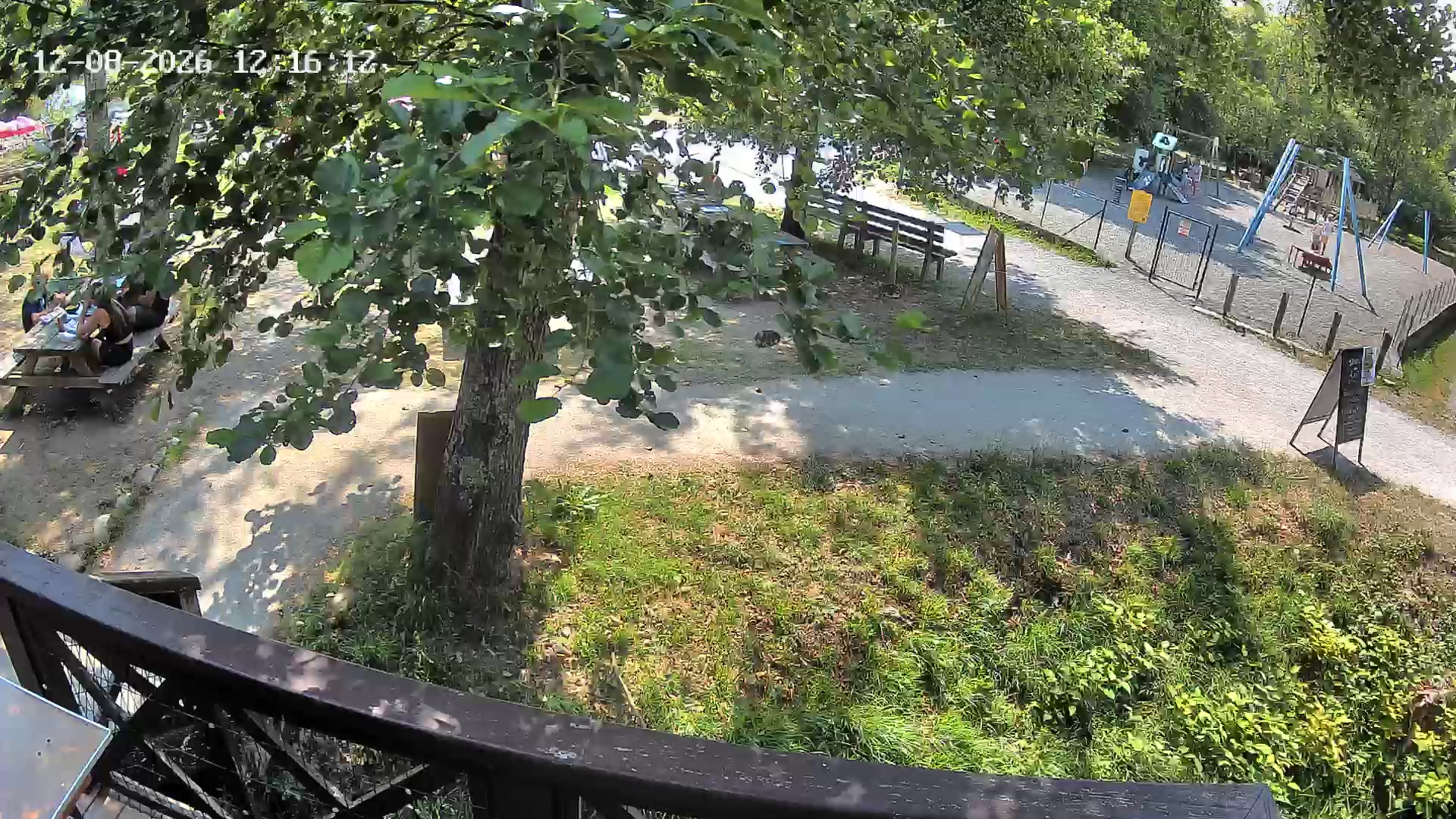 Webcam Image