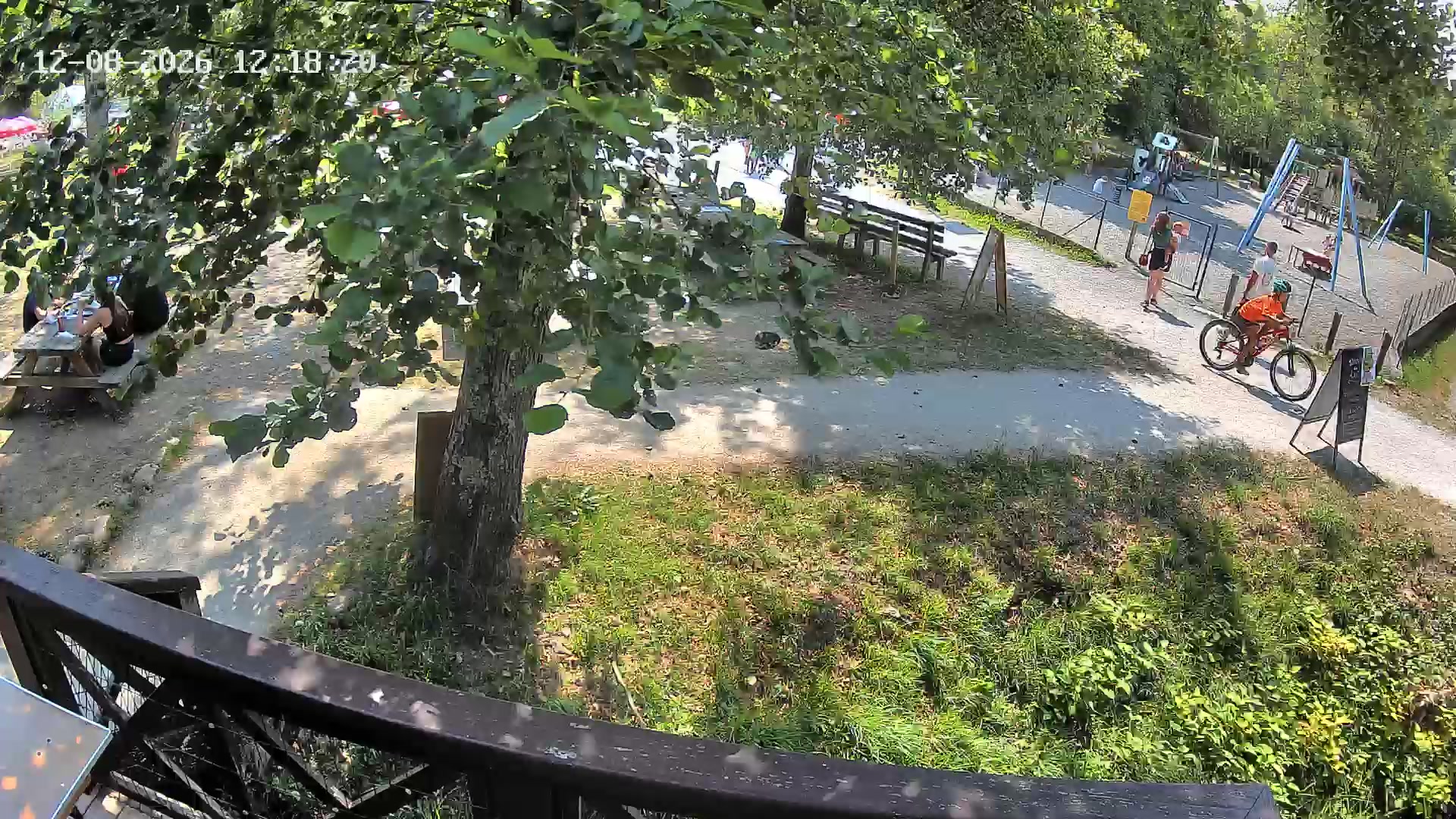 Webcam Image