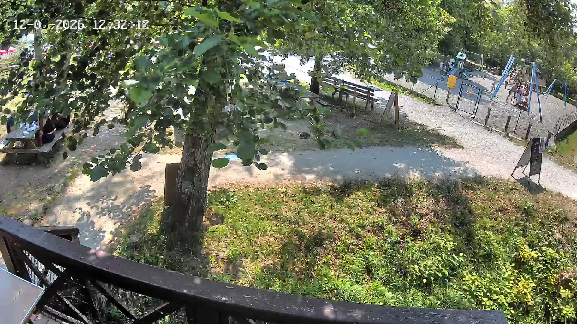 Webcam Image