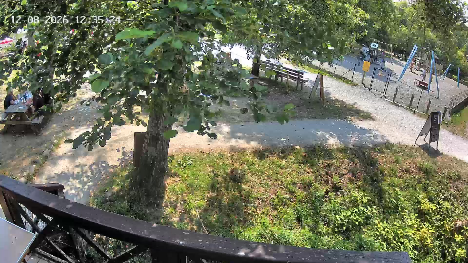 Webcam Image