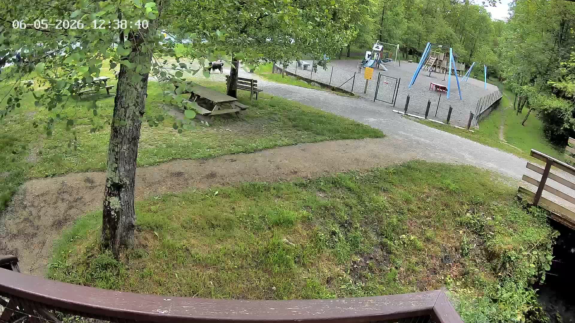 Webcam Image