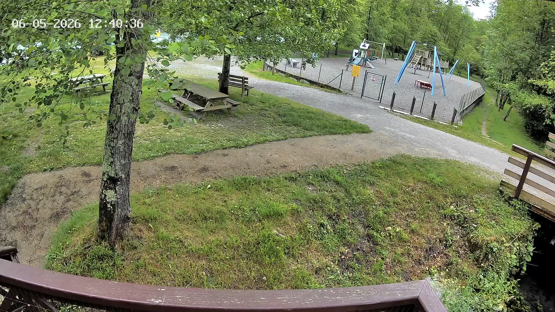 Webcam Image