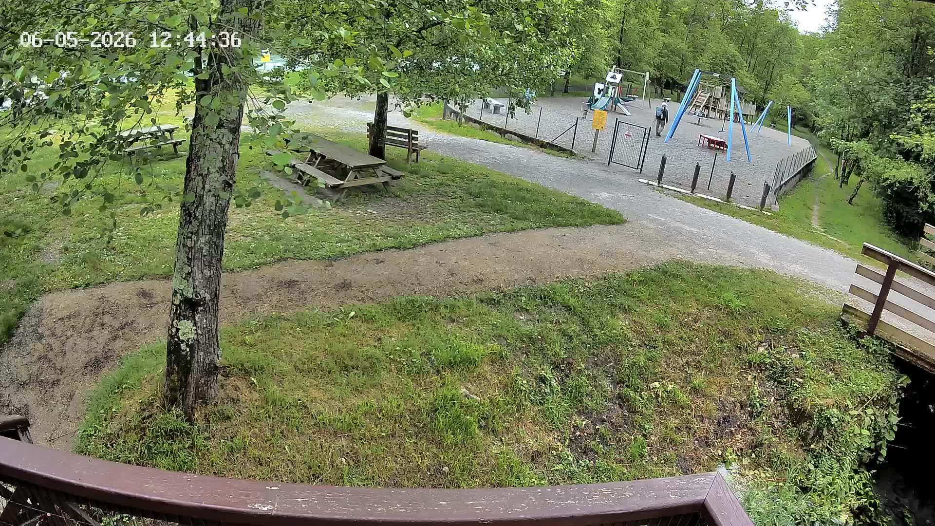 Webcam Image