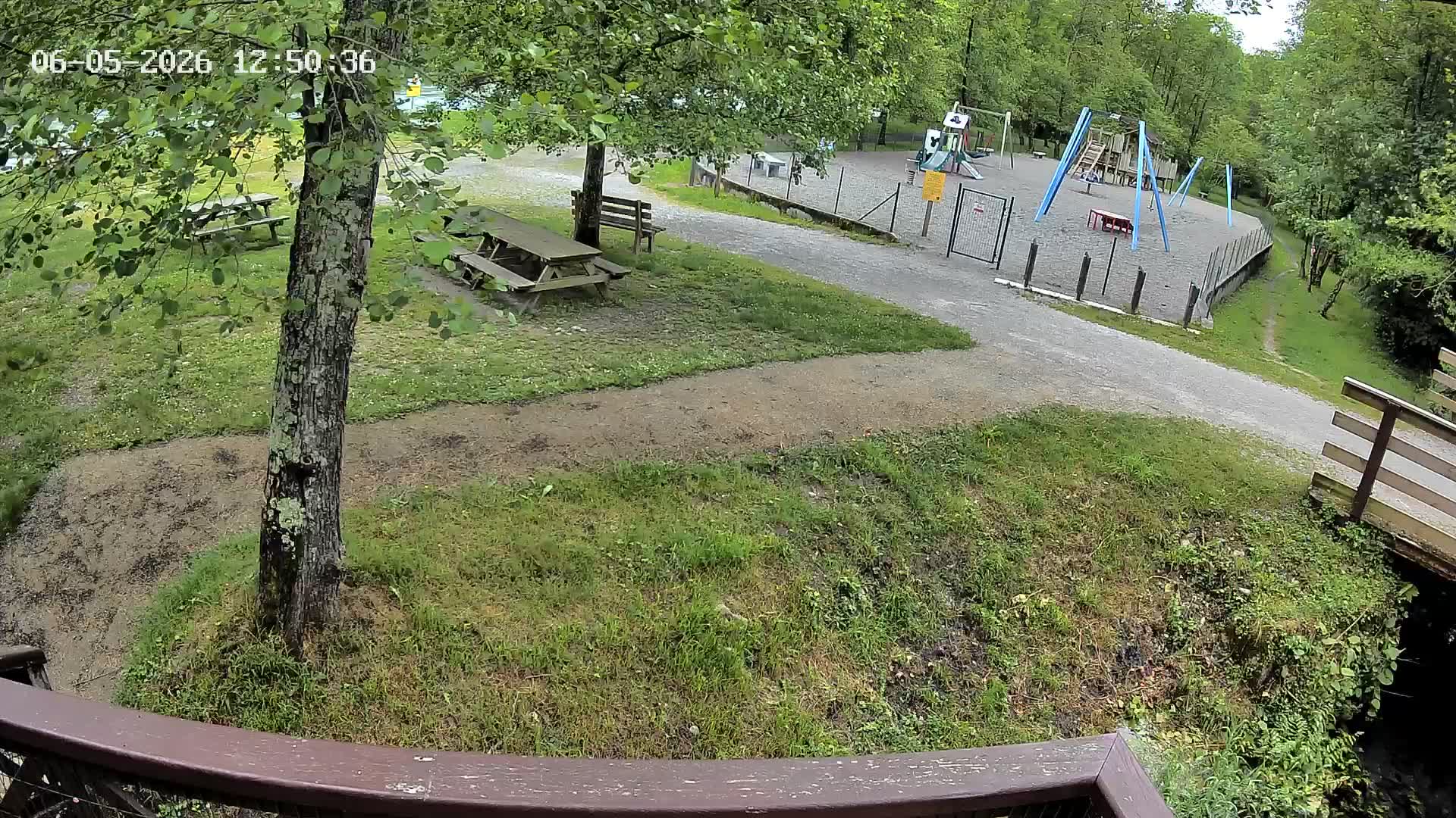 Webcam Image