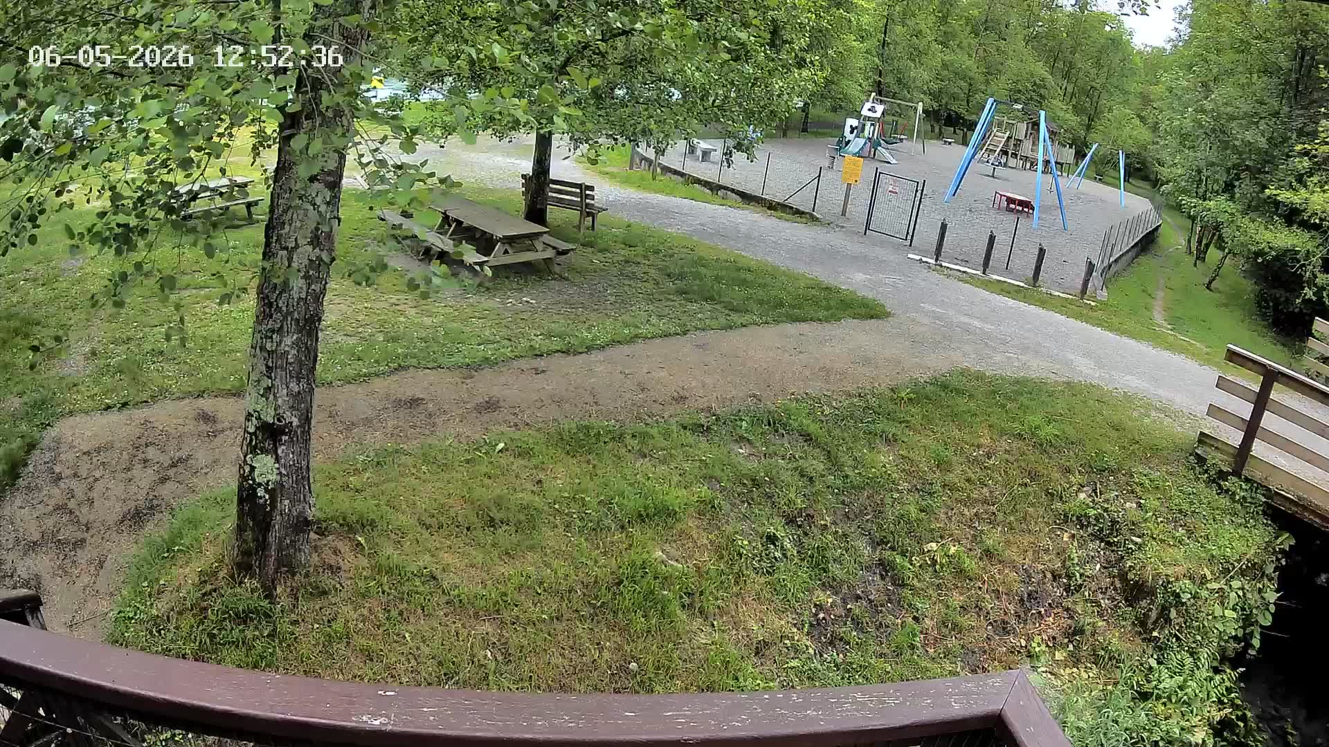 Webcam Image