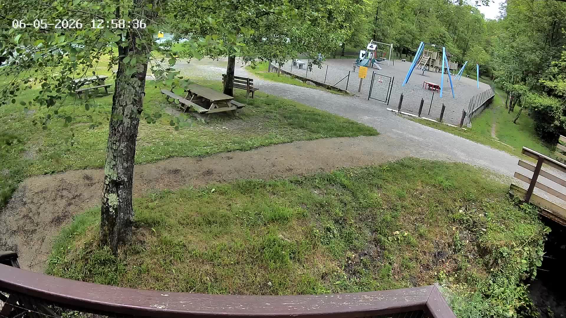 Webcam Image