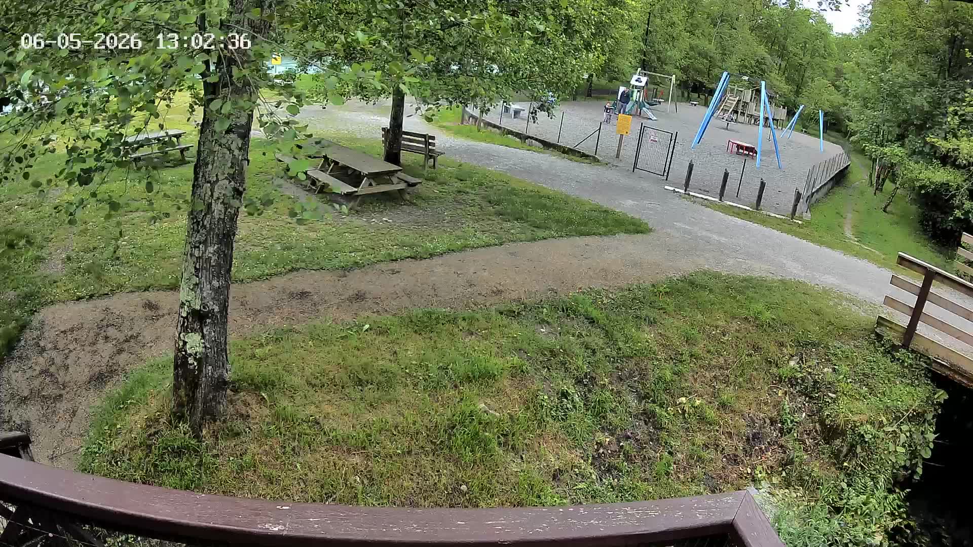 Webcam Image