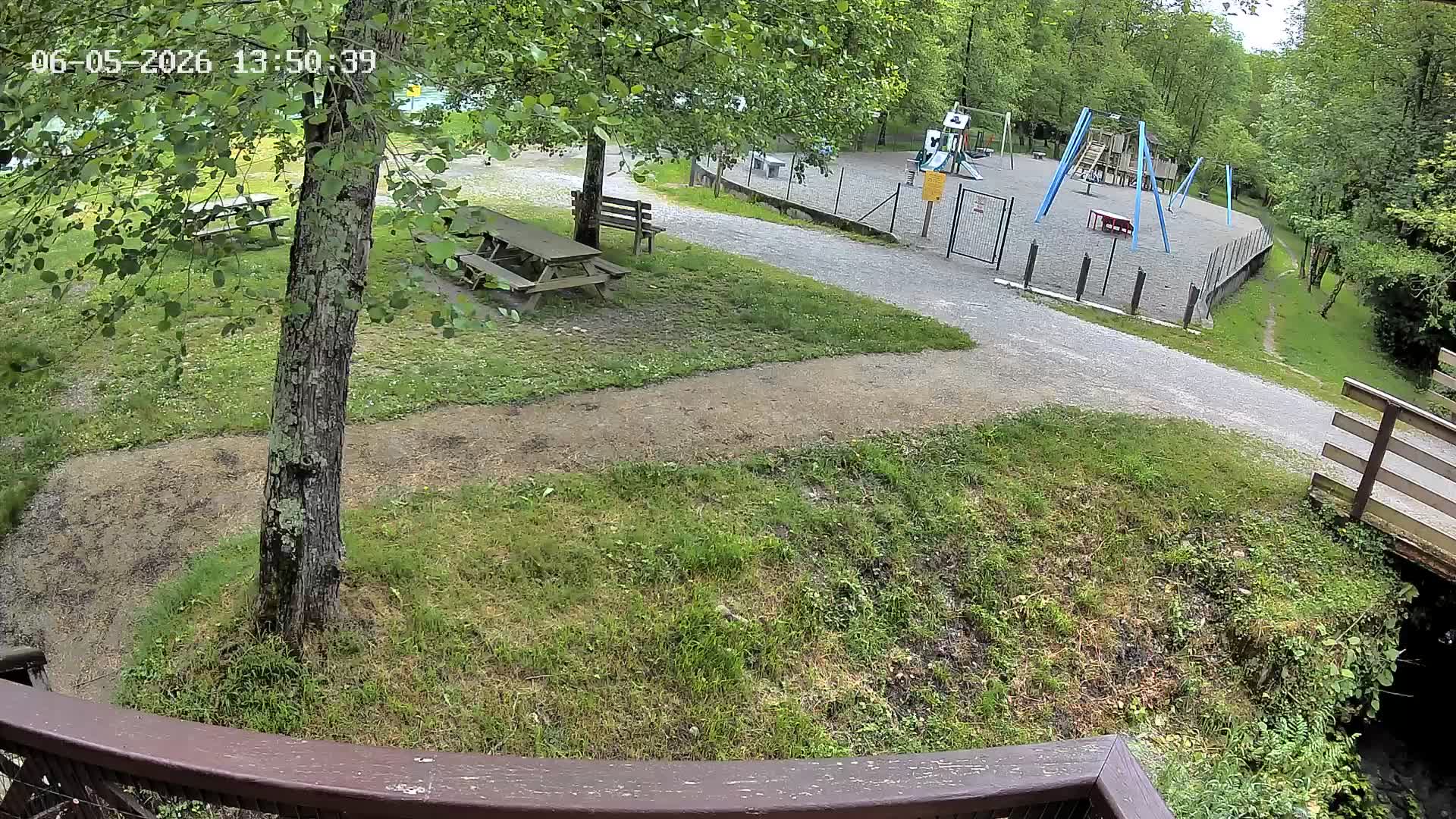 Webcam Image