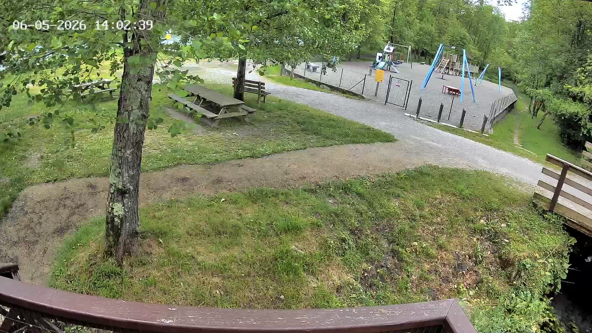 Webcam Image