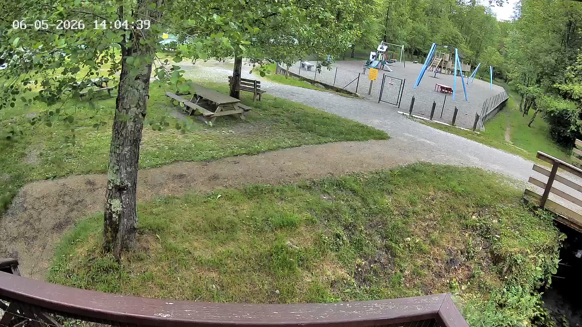 Webcam Image