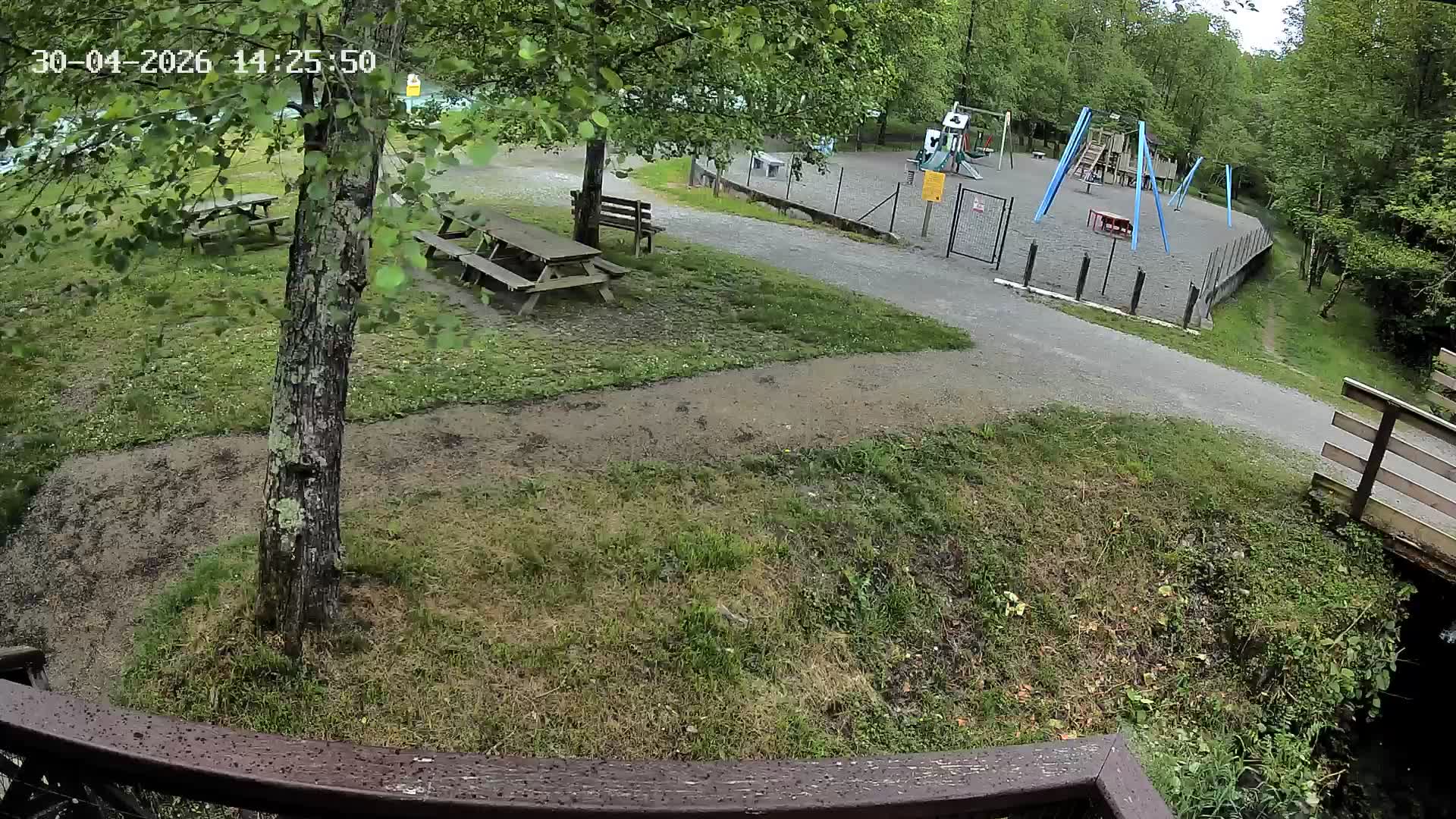 Webcam Image