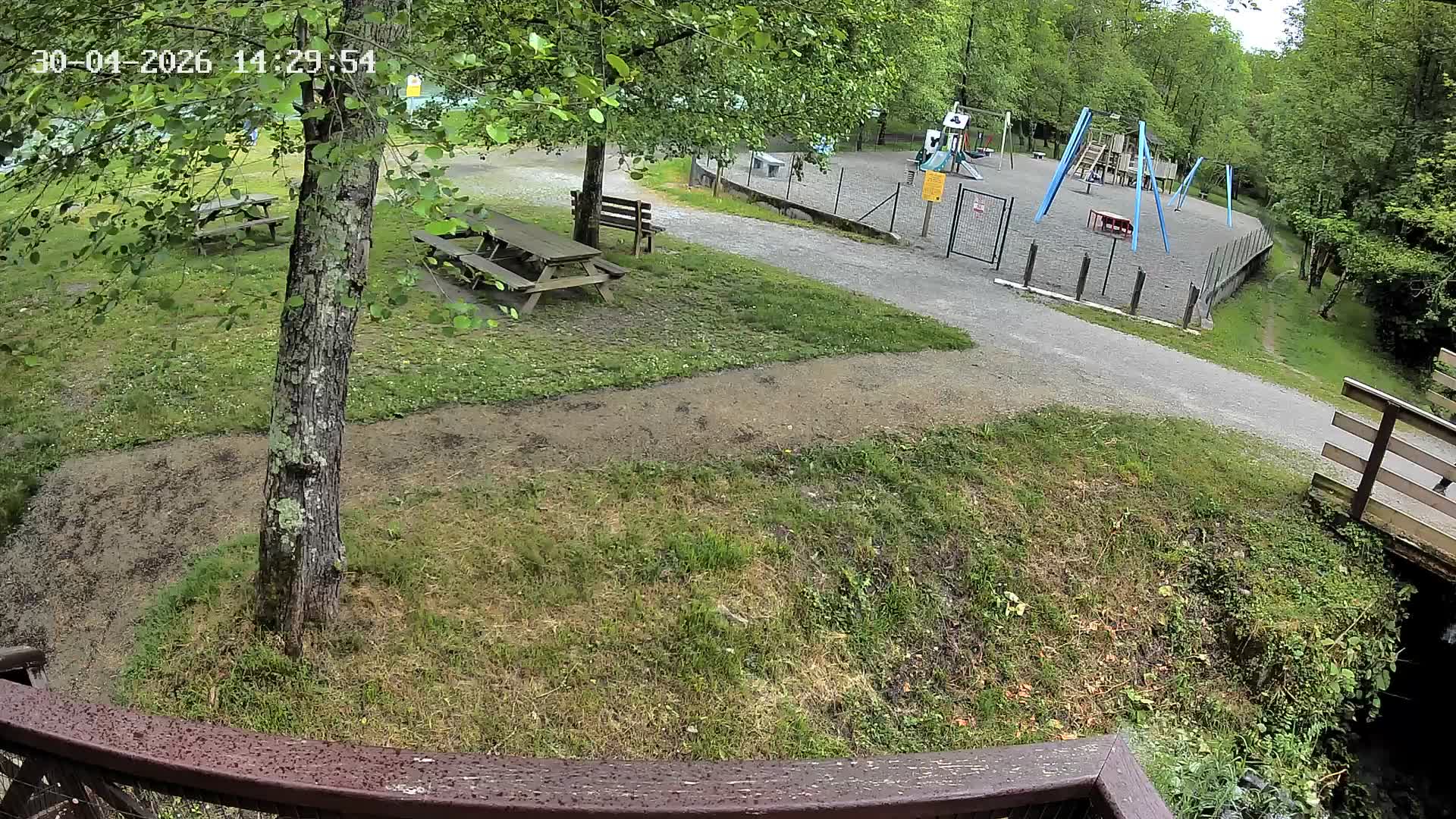 Webcam Image