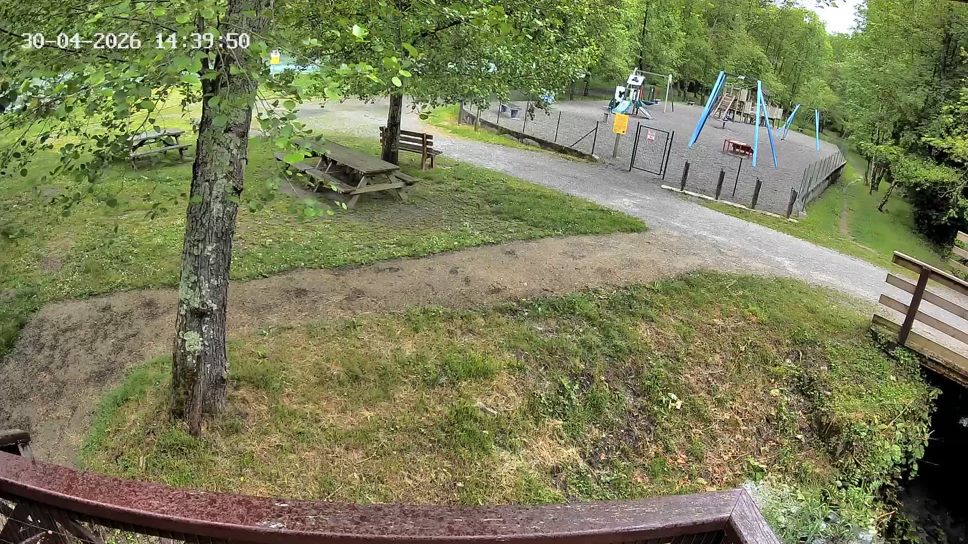 Webcam Image