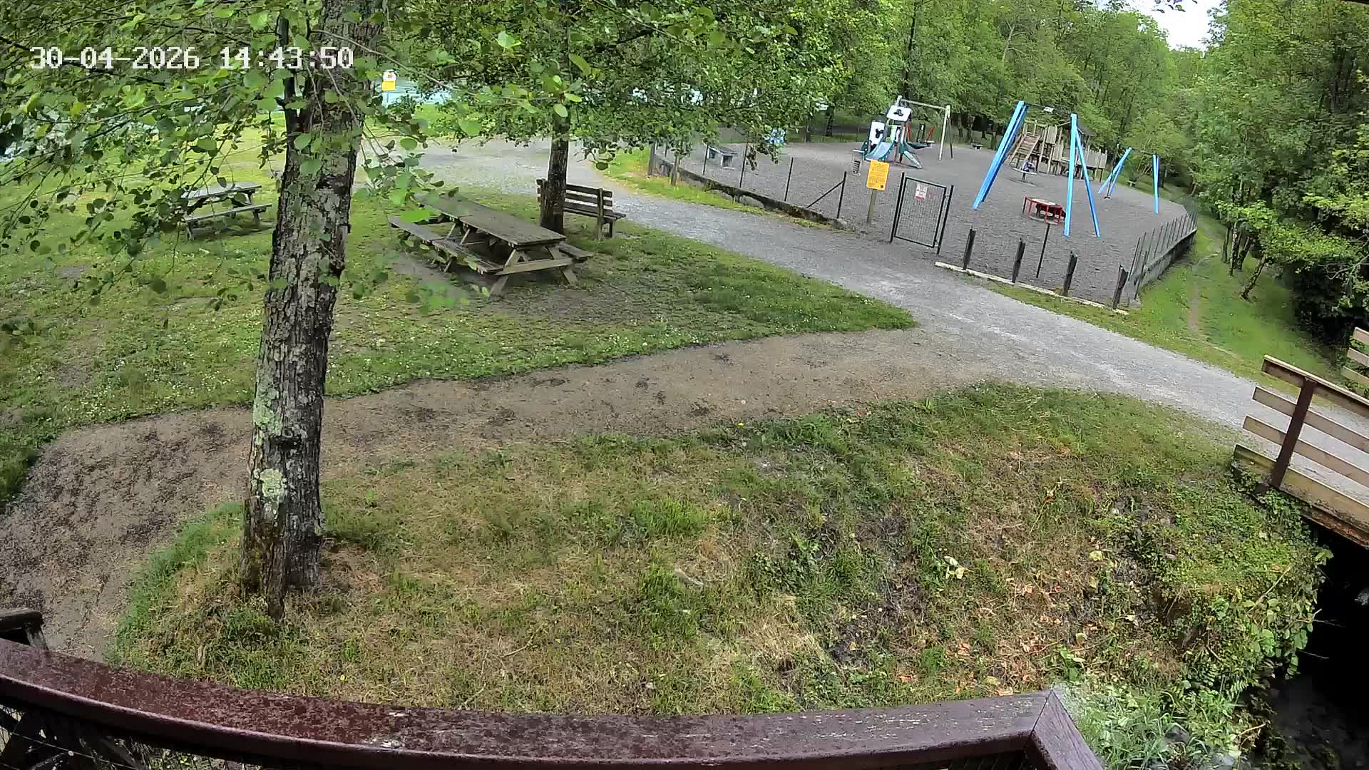 Webcam Image