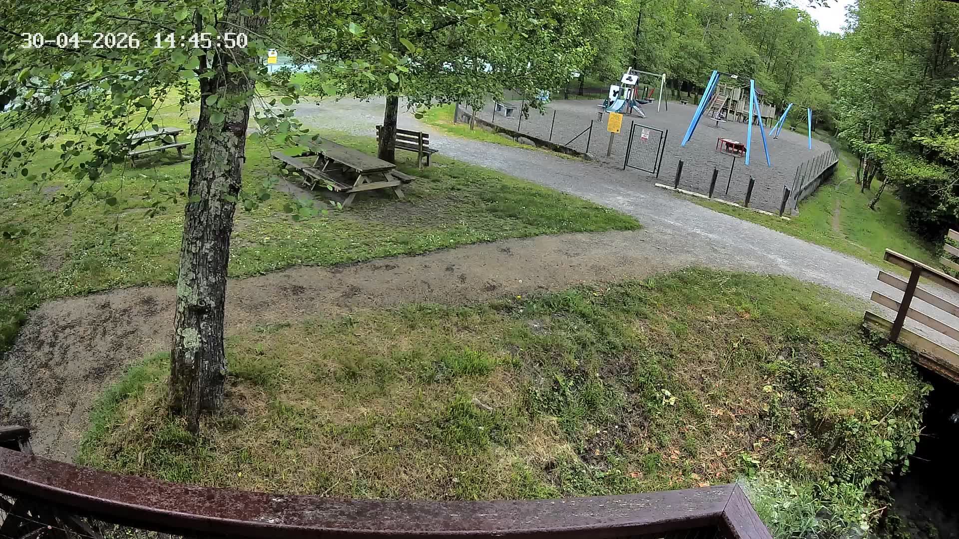 Webcam Image