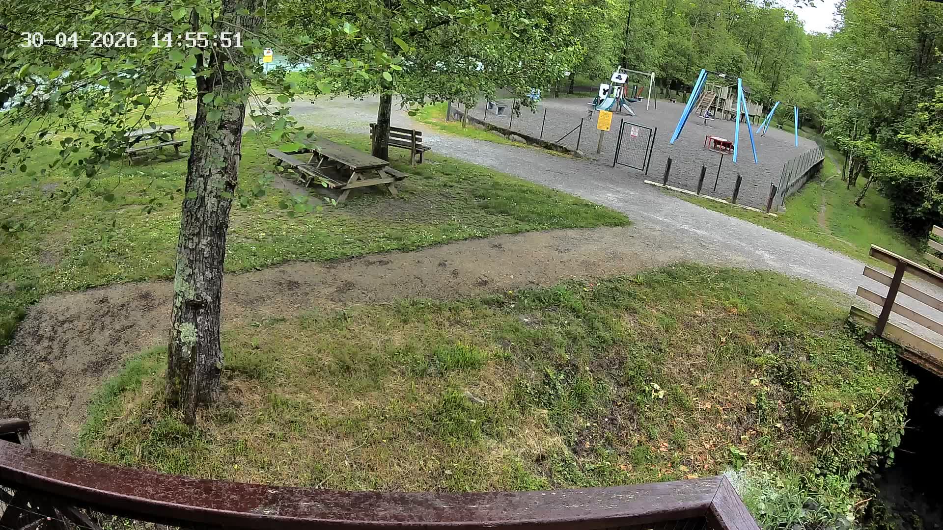 Webcam Image