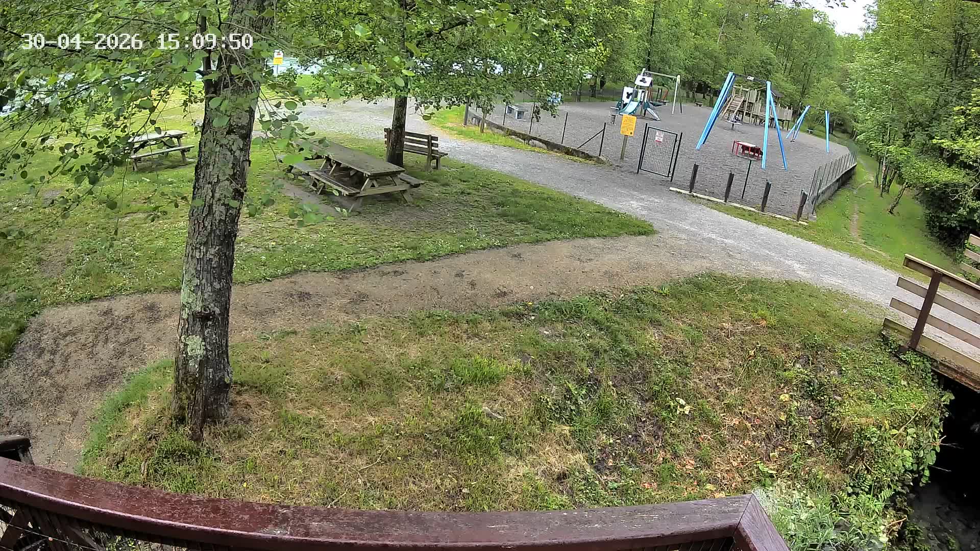 Webcam Image