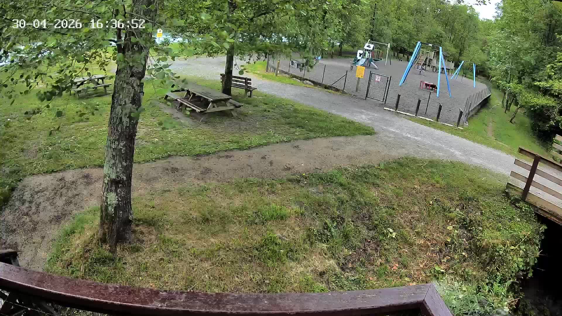 Webcam Image