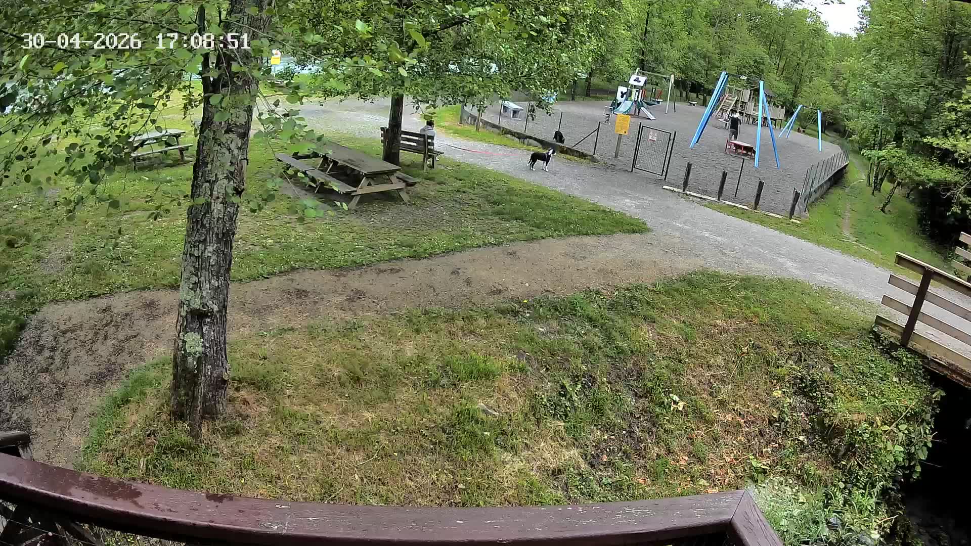Webcam Image