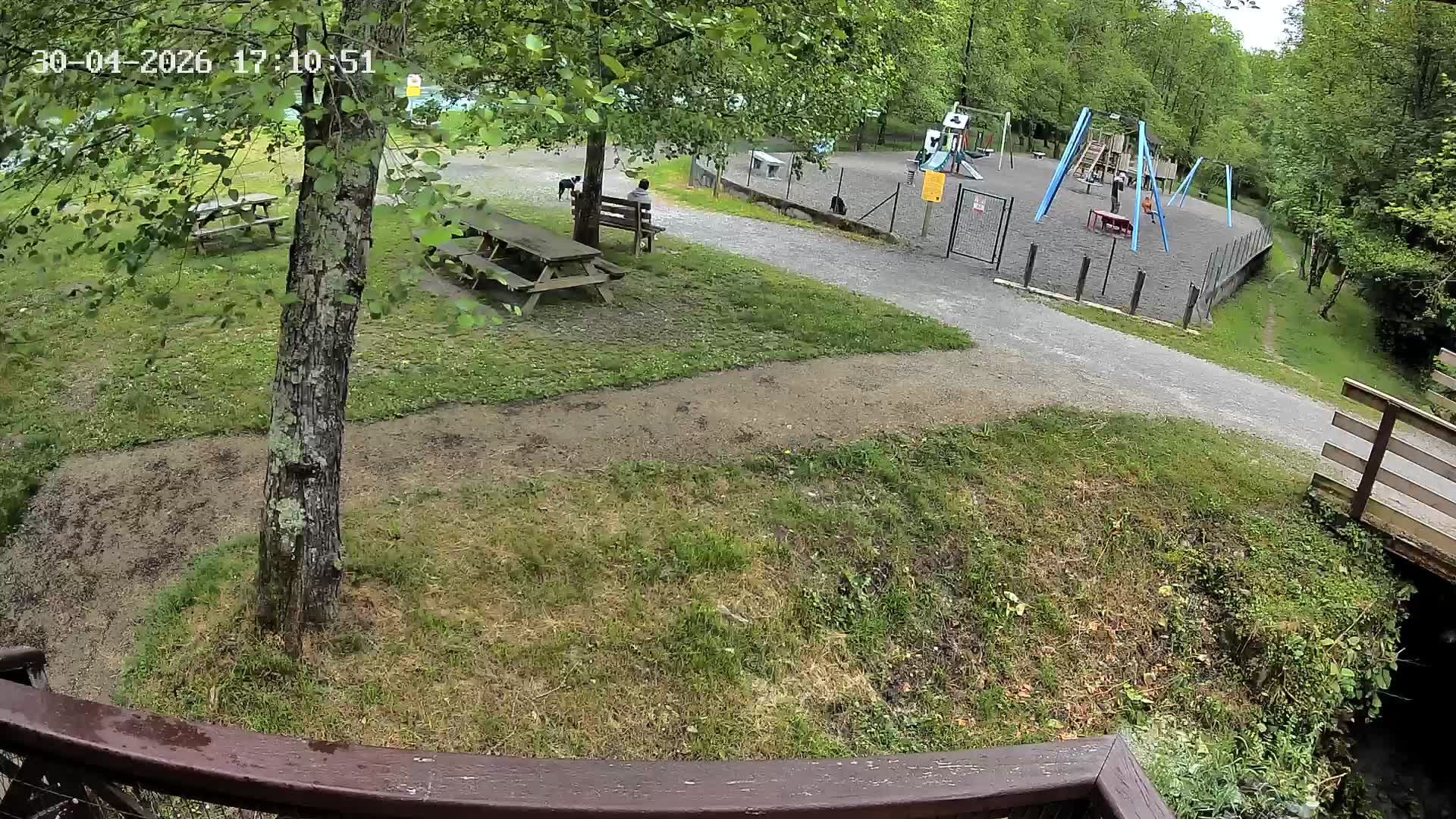 Webcam Image
