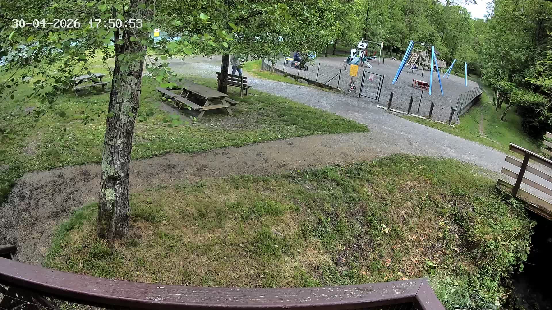 Webcam Image