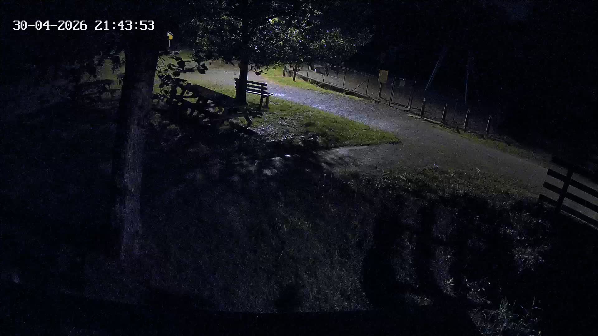 Webcam Image