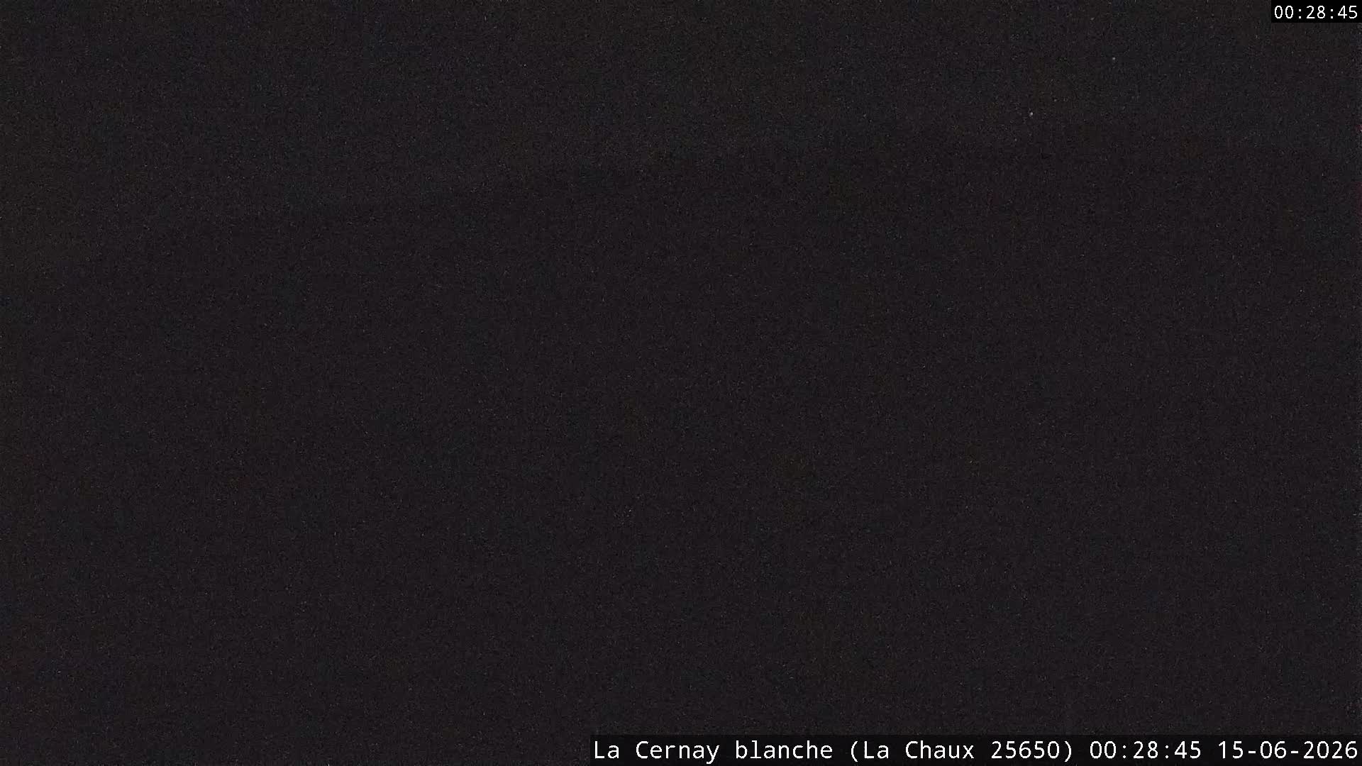 Webcam Image