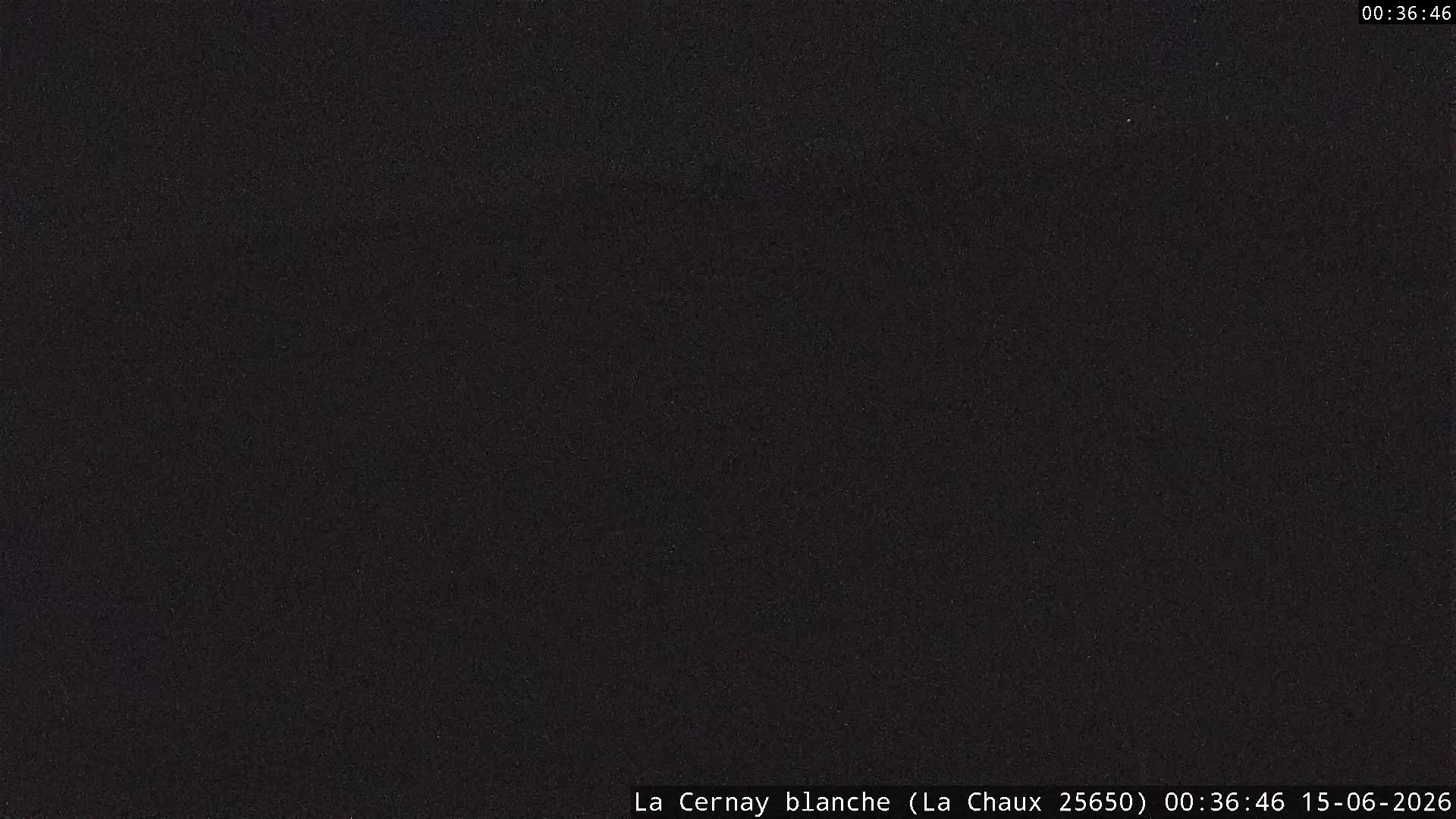 Webcam Image