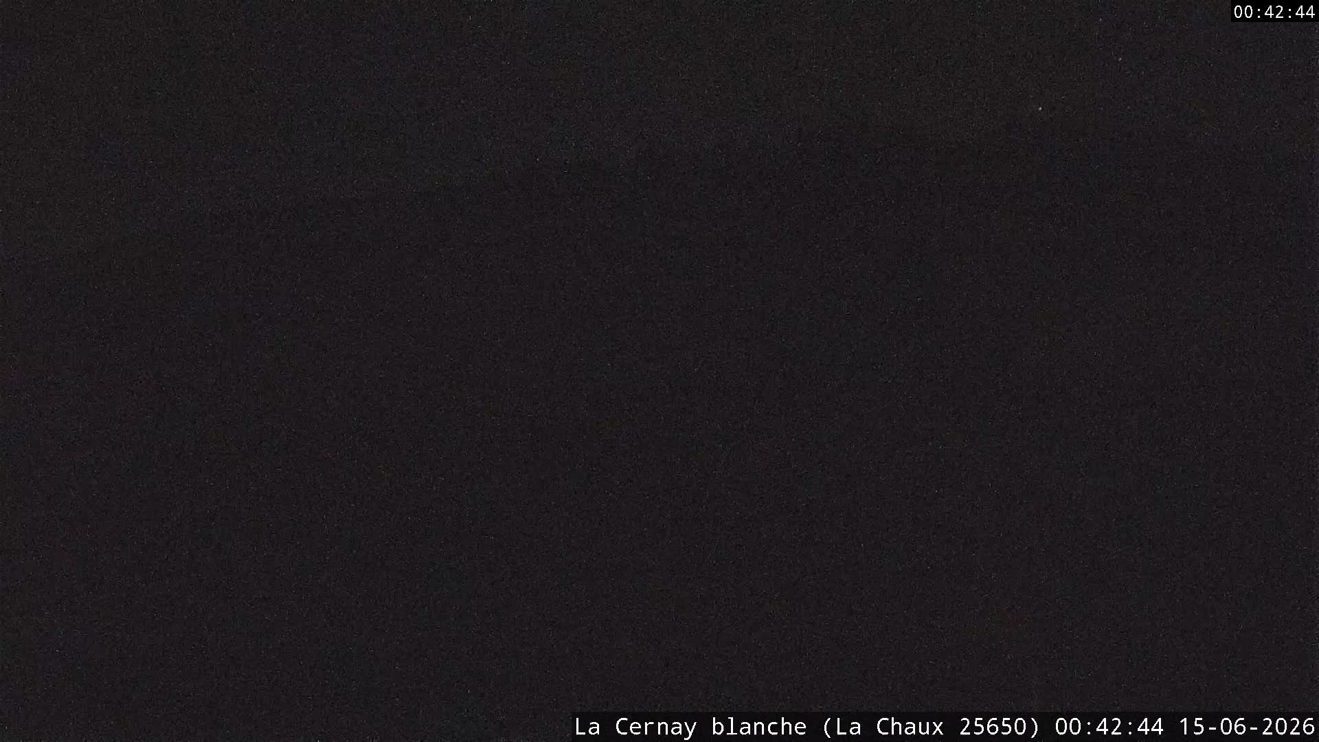 Webcam Image