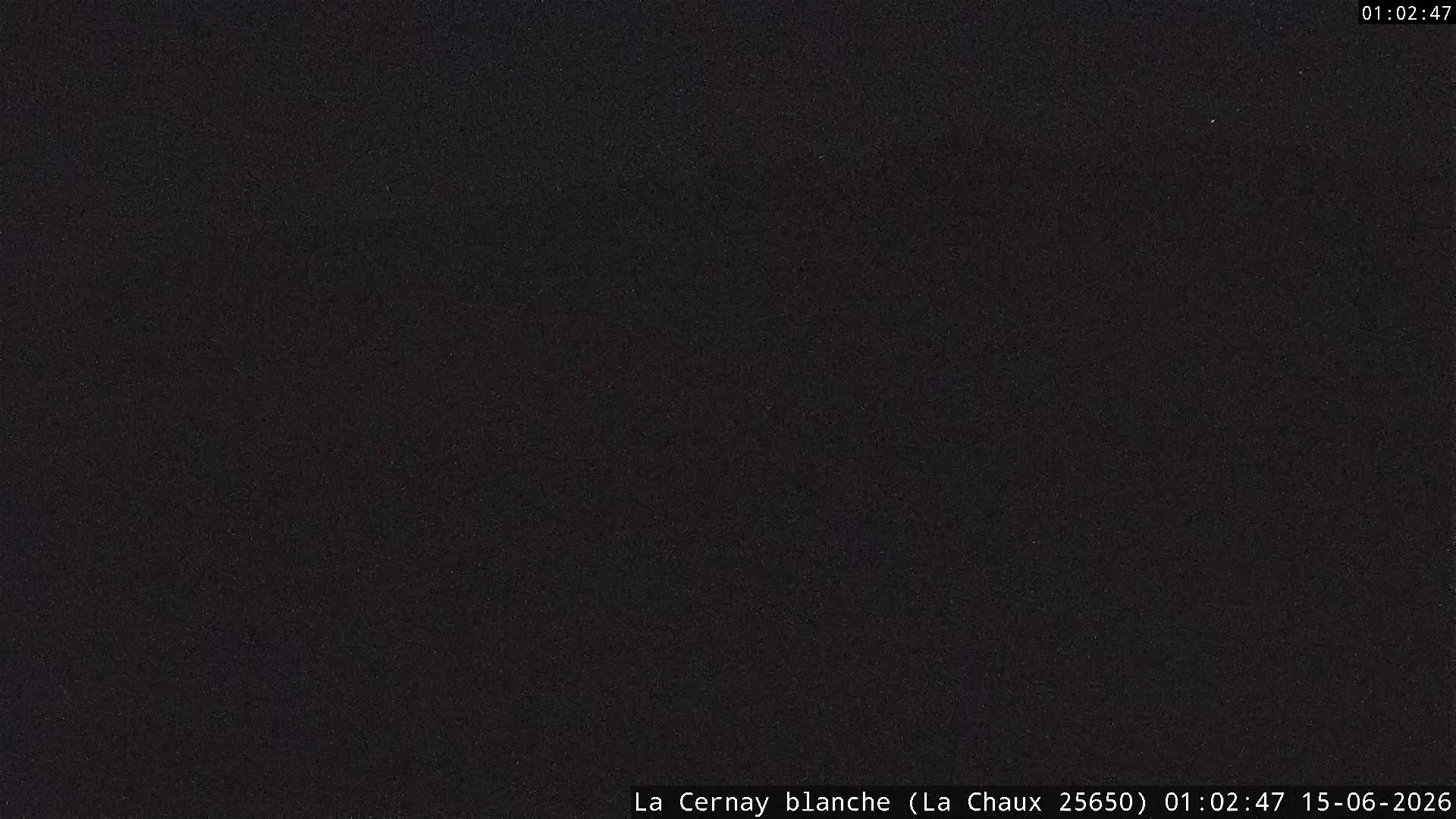 Webcam Image