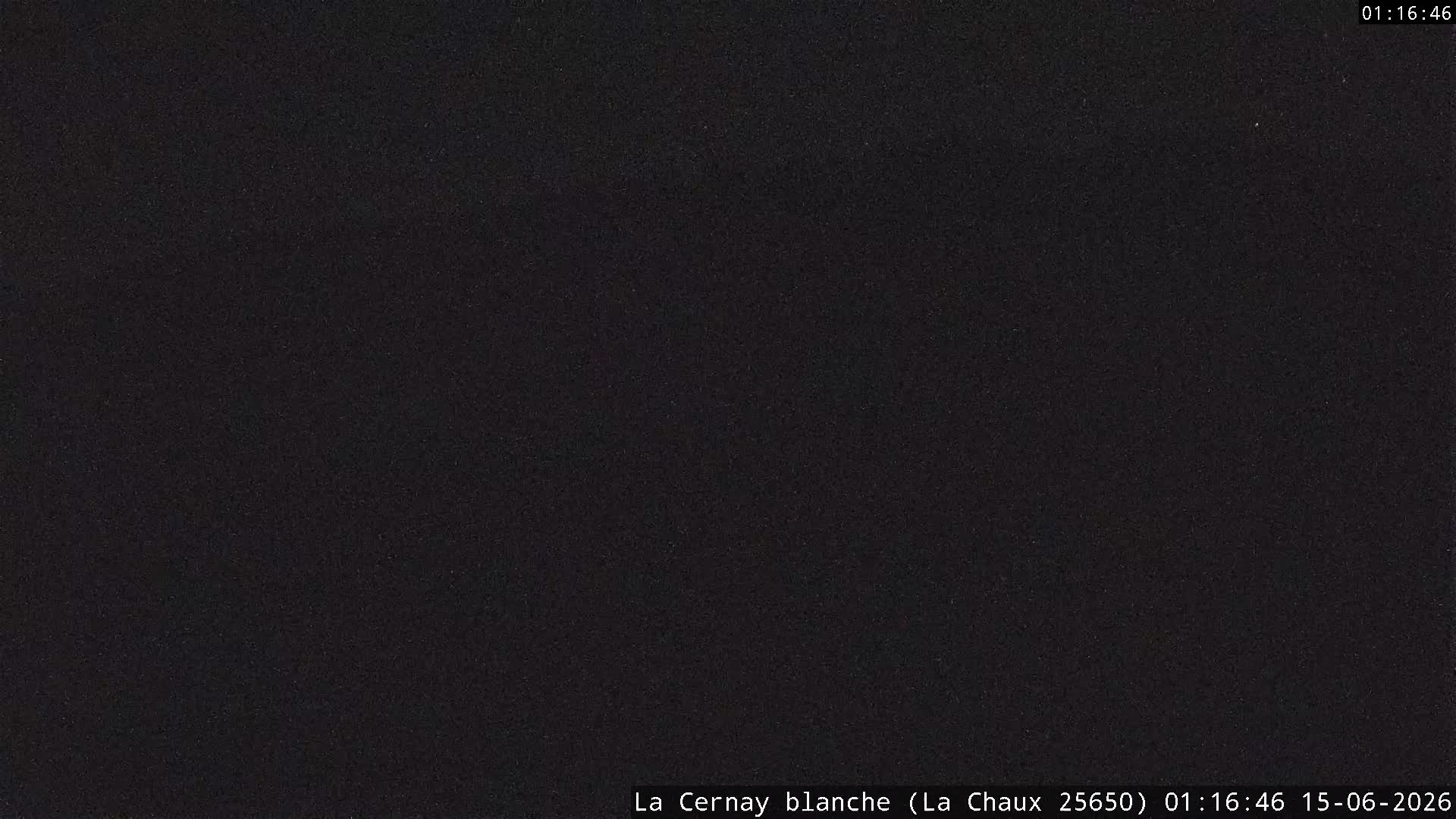 Webcam Image