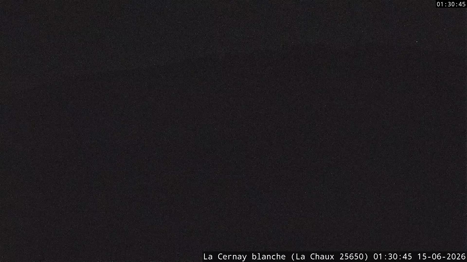Webcam Image