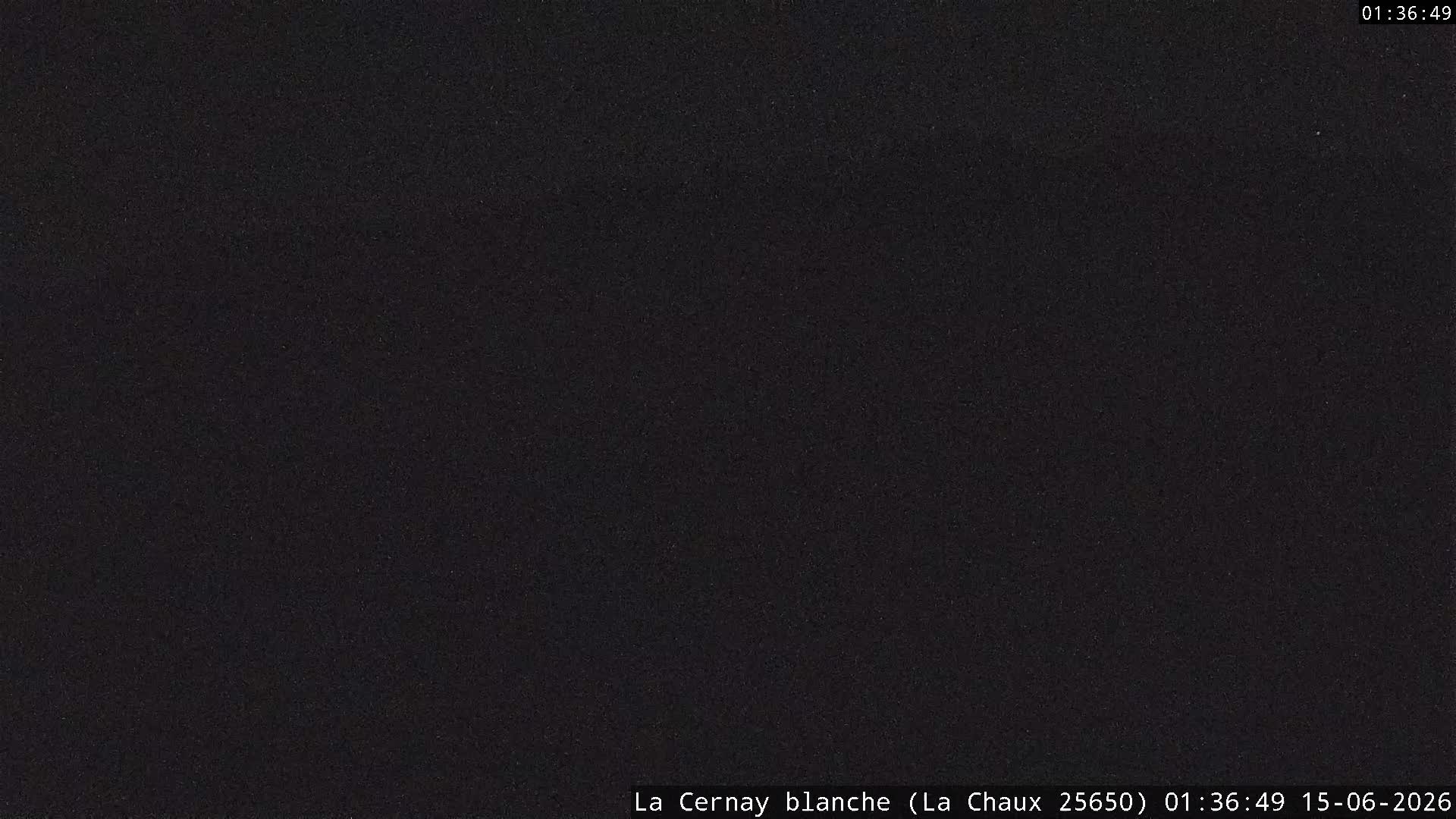 Webcam Image