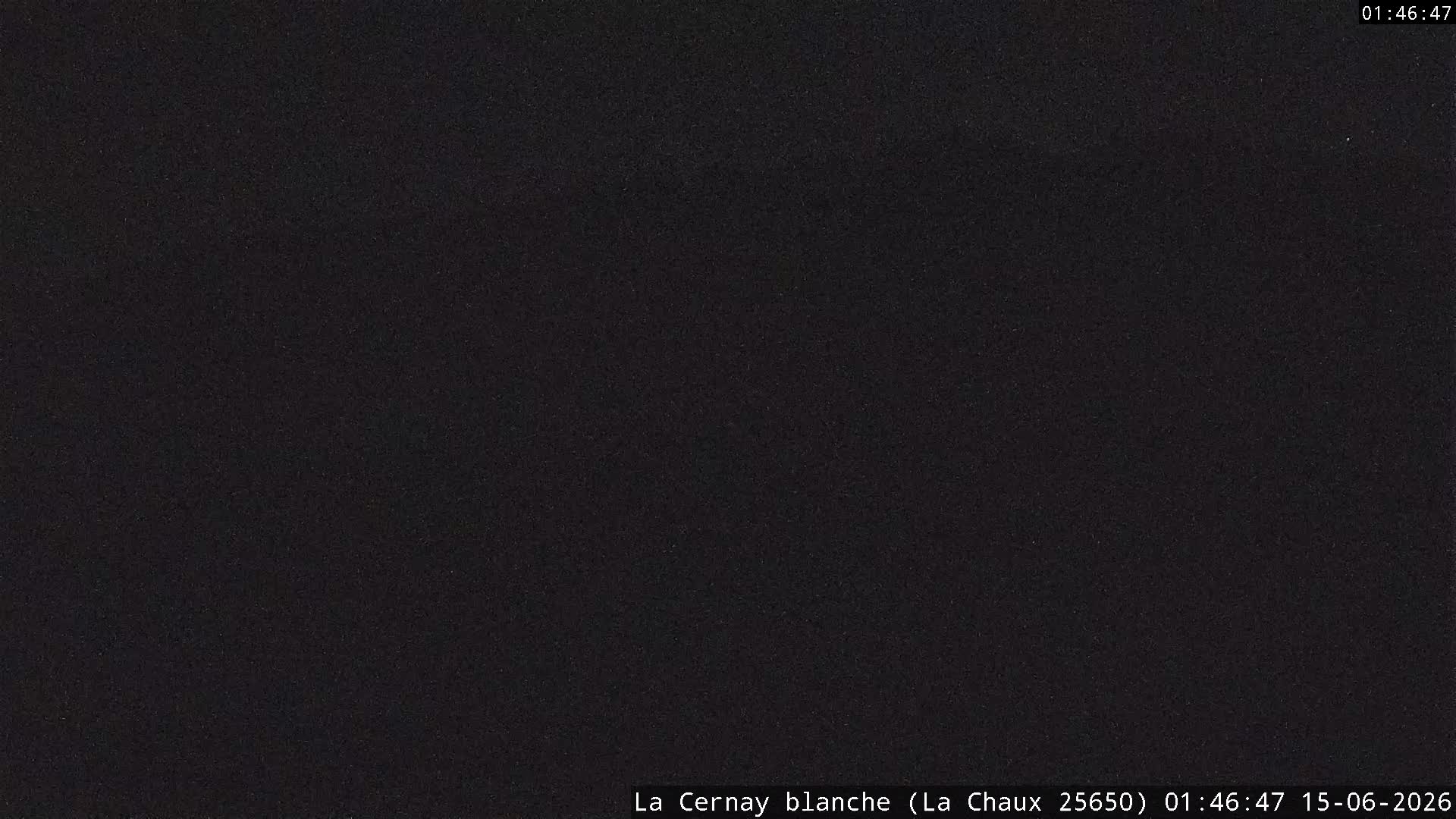 Webcam Image