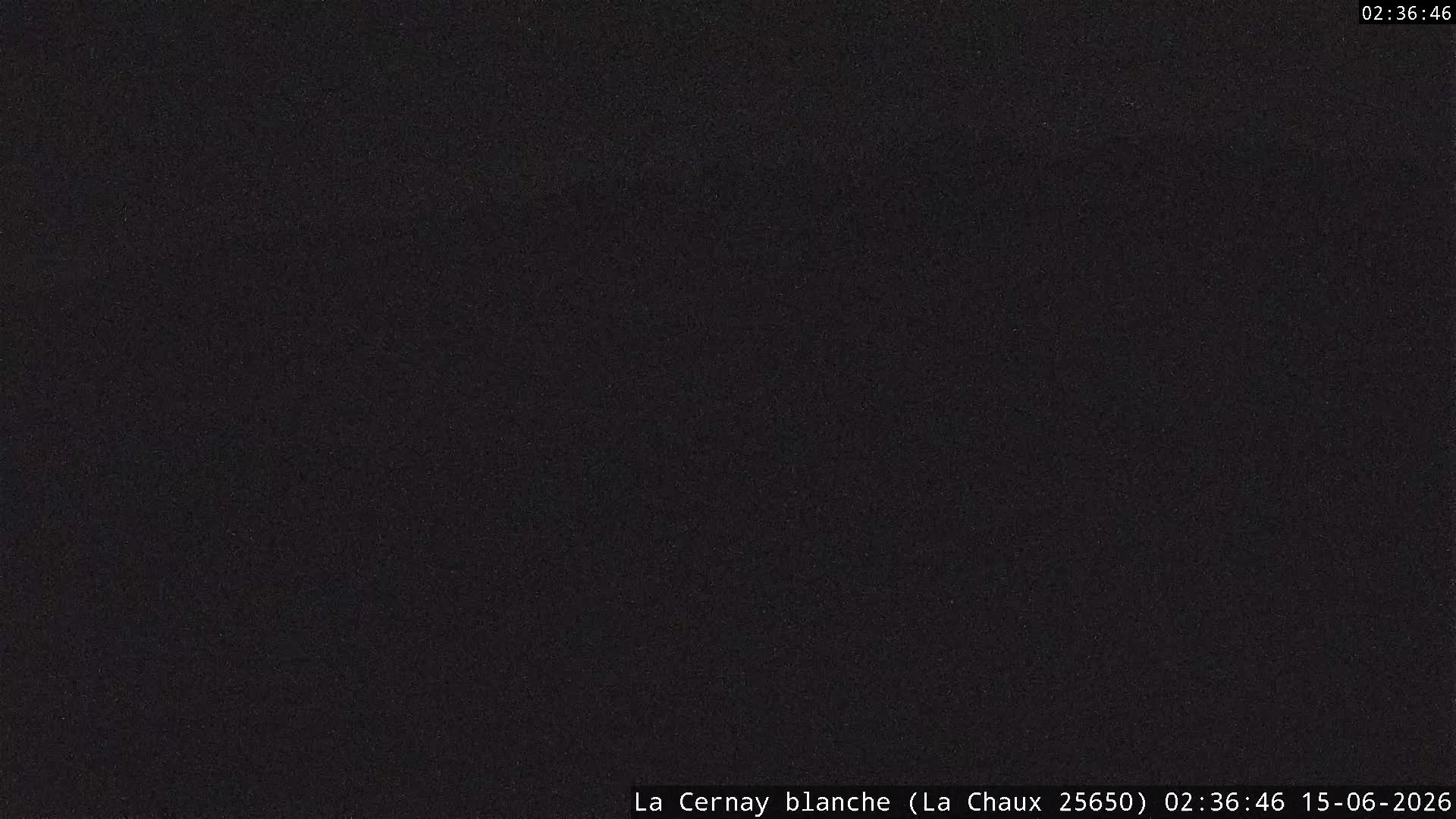 Webcam Image