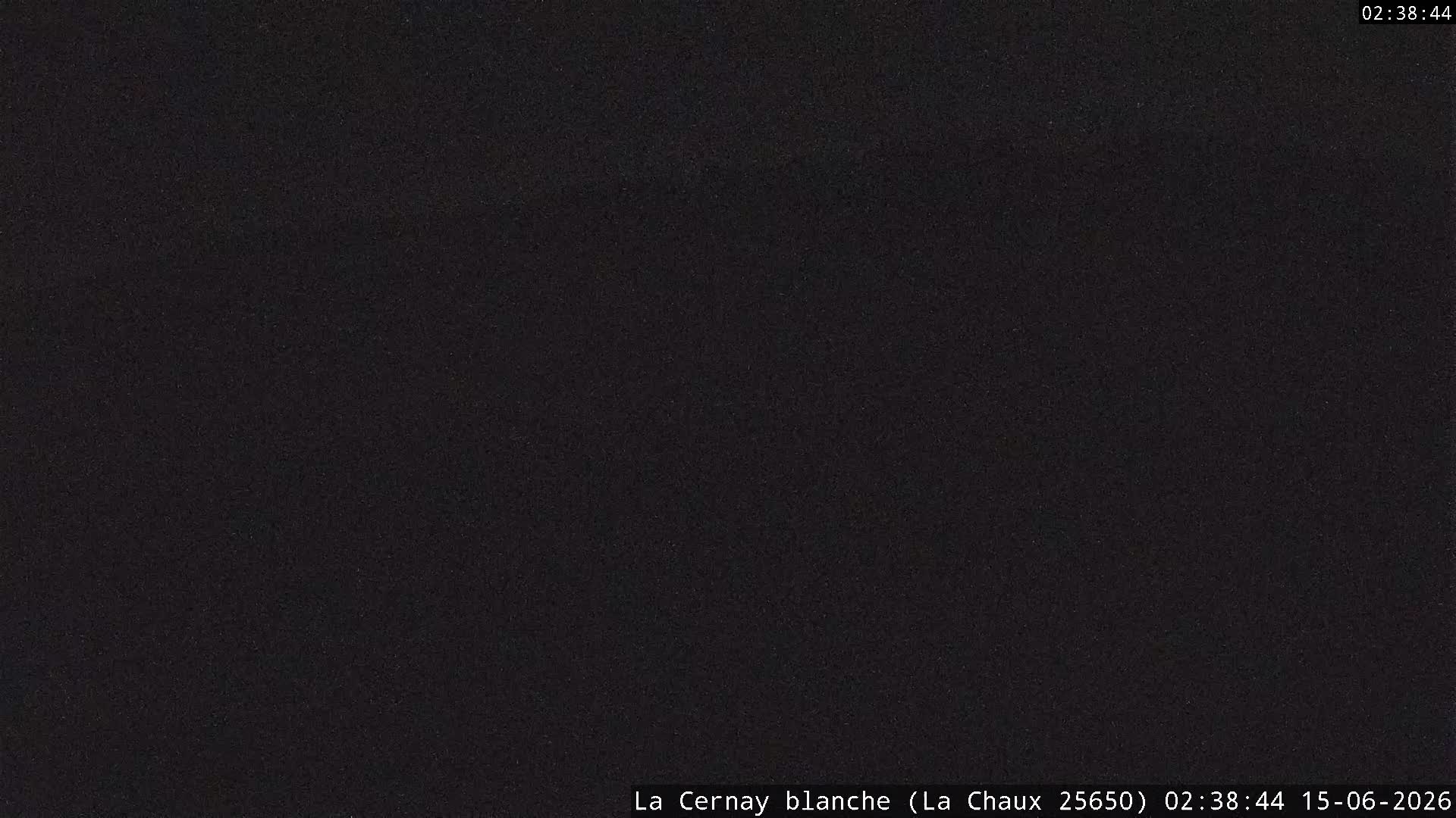 Webcam Image