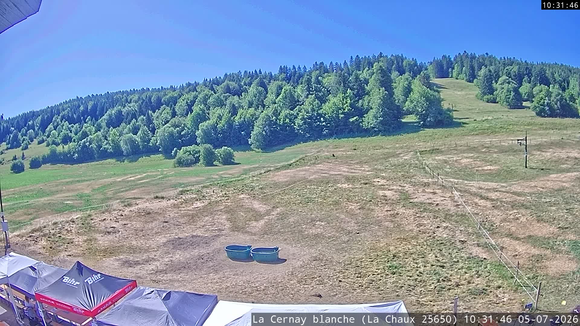 Webcam Image