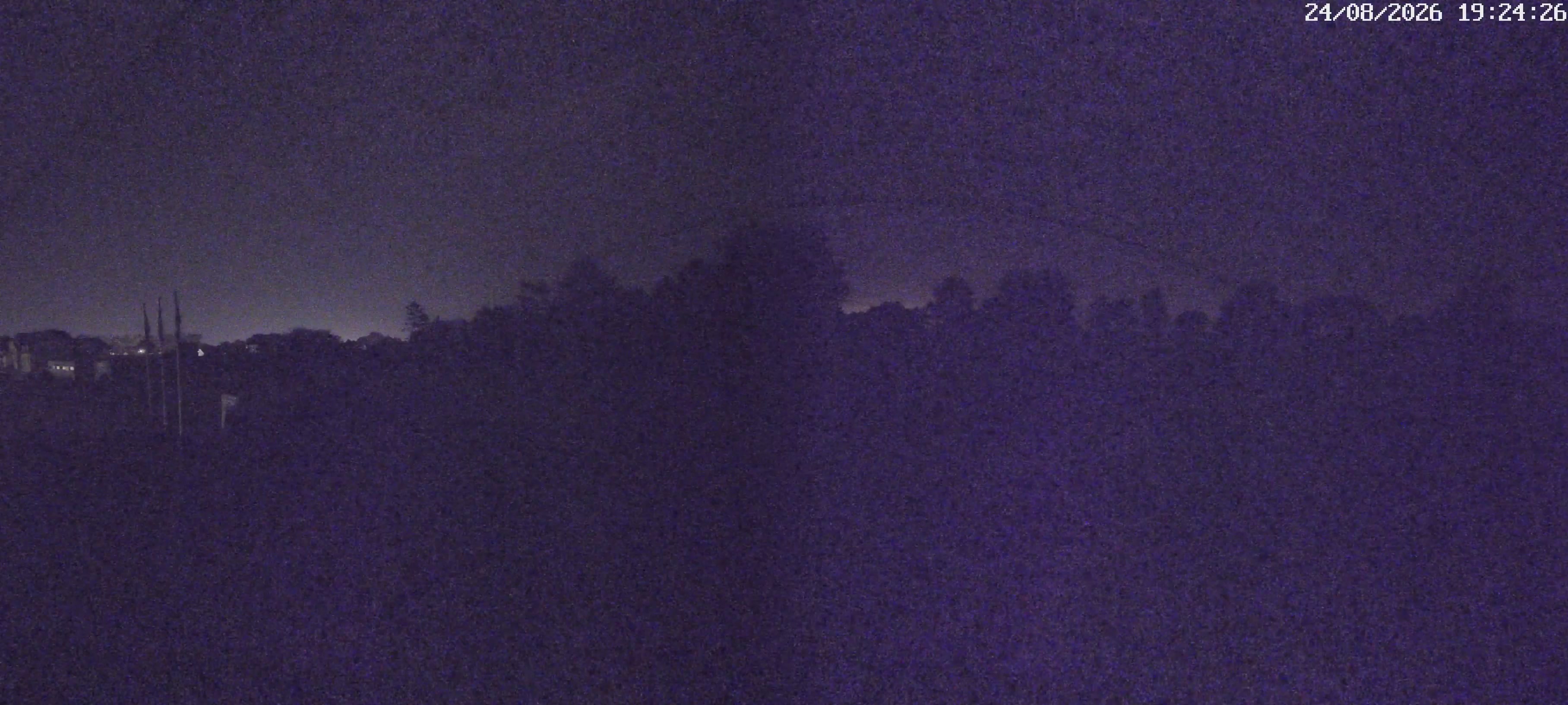 Webcam Image