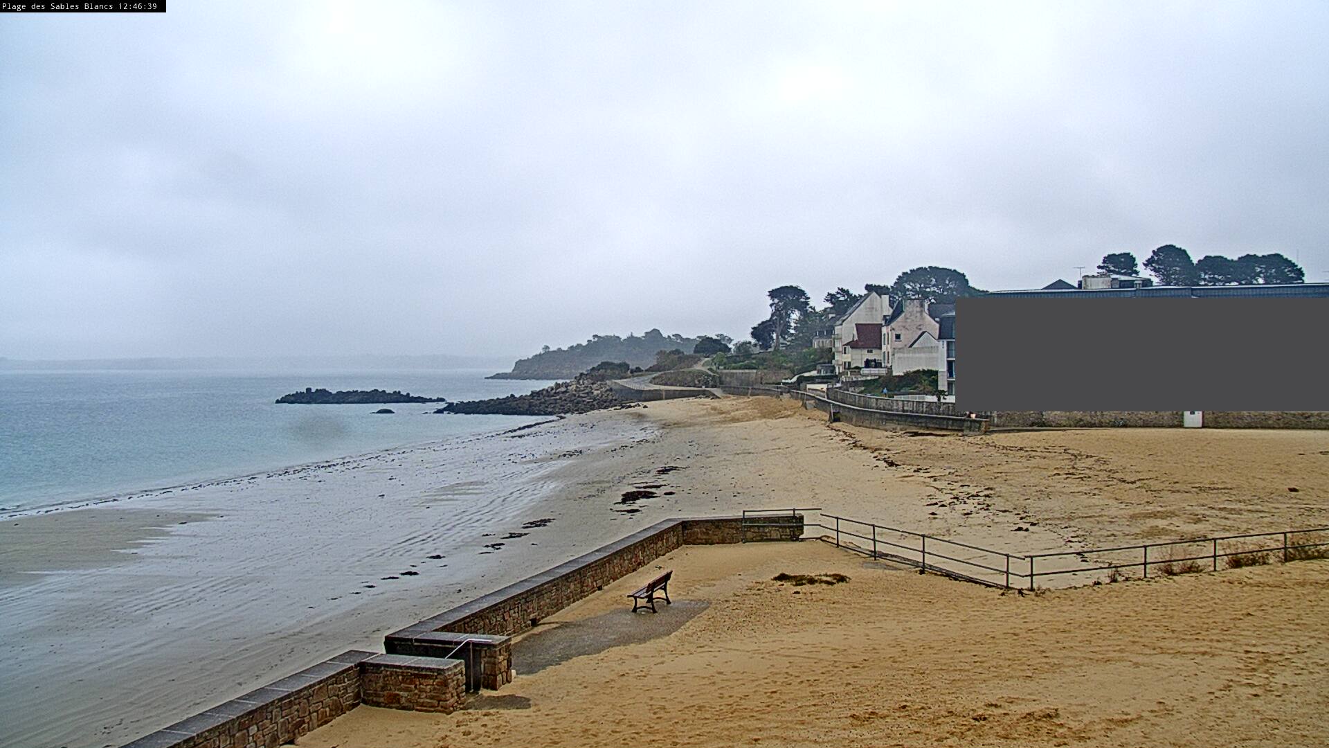 Webcam Image