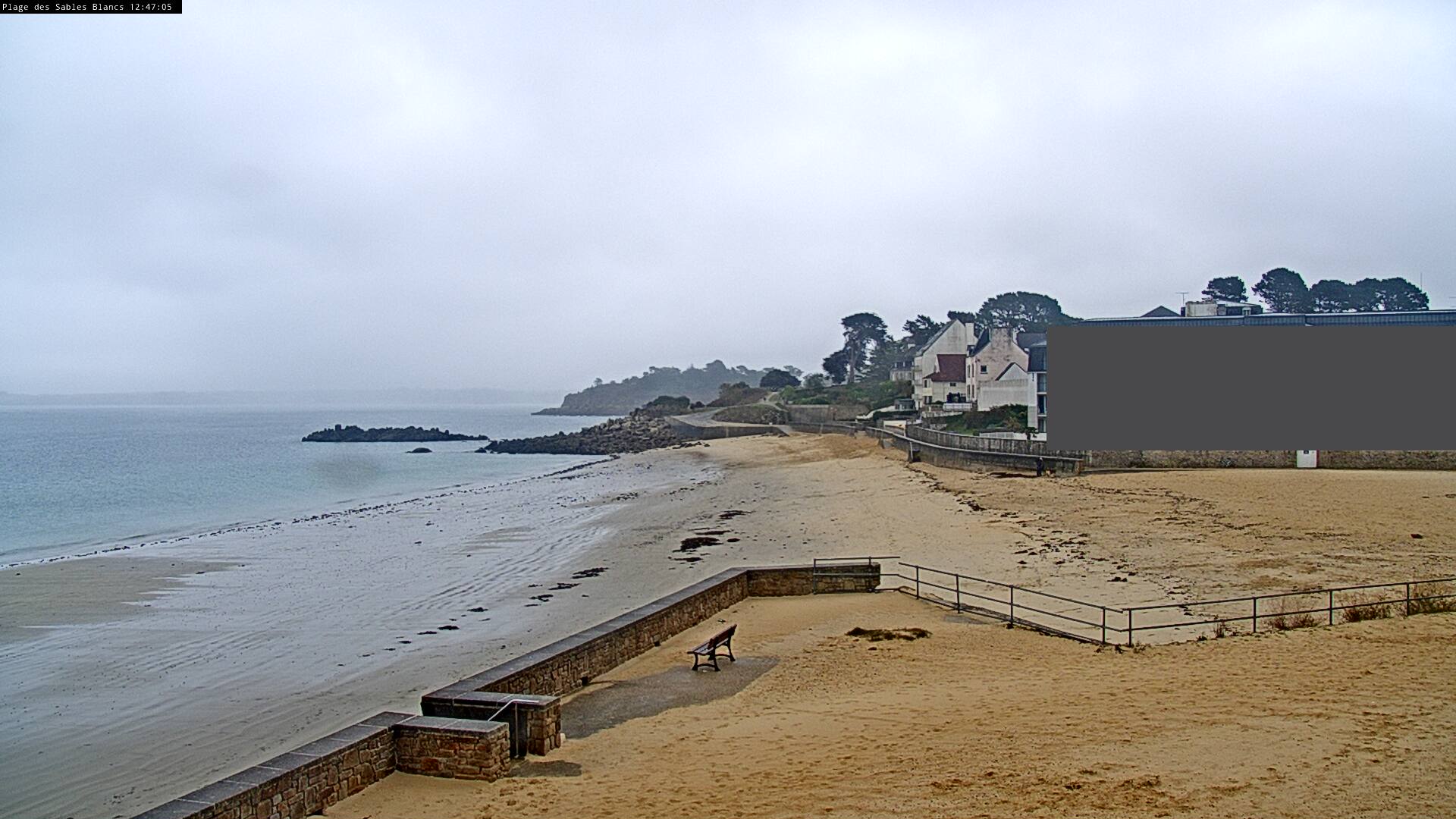 Webcam Image