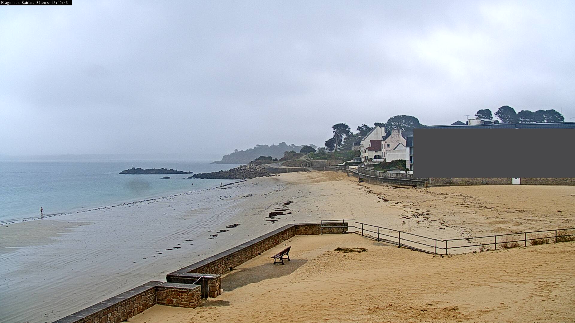 Webcam Image