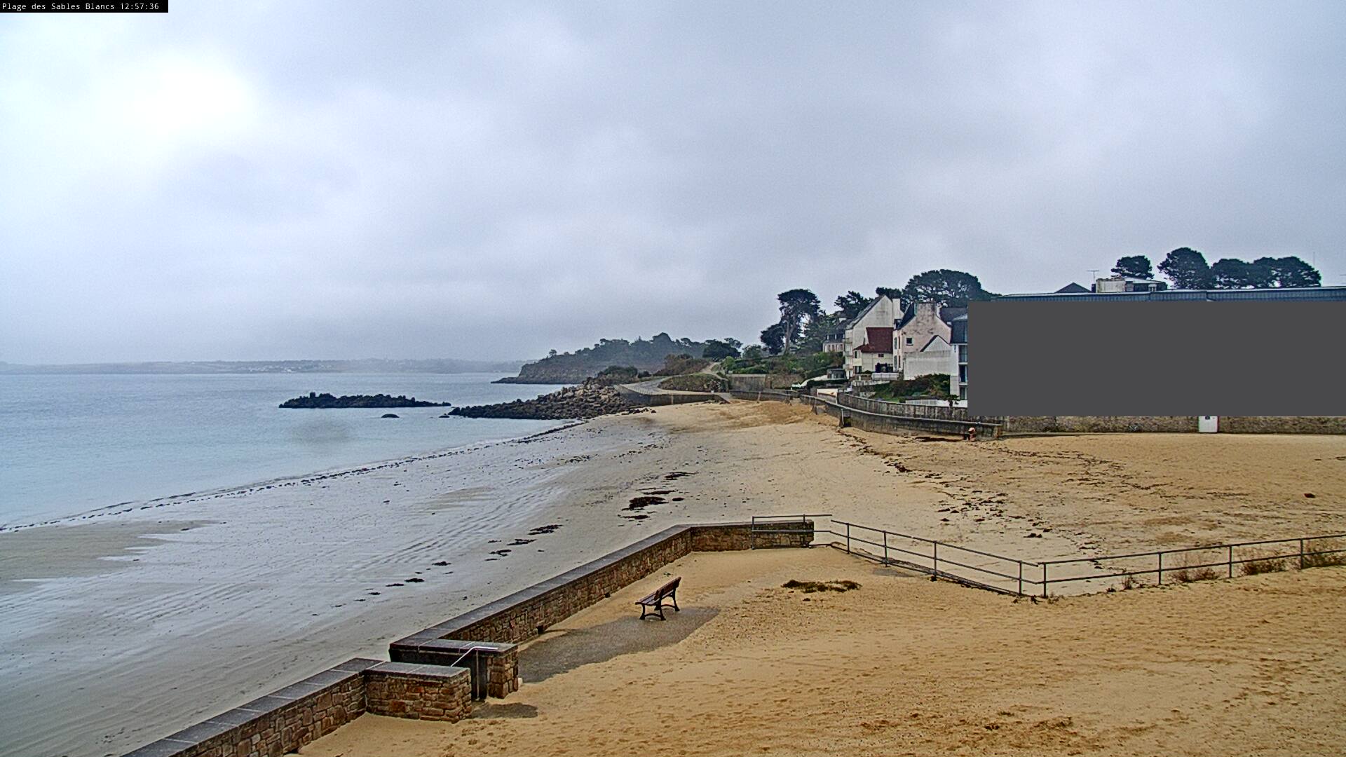 Webcam Image