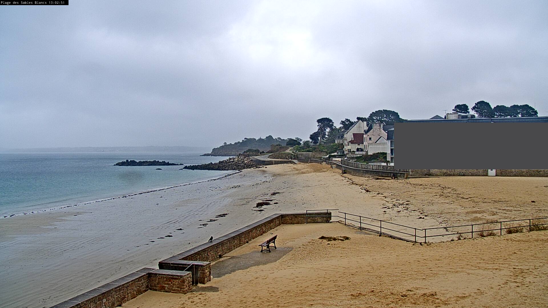 Webcam Image