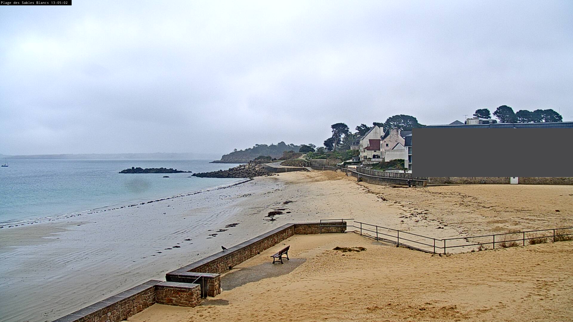 Webcam Image