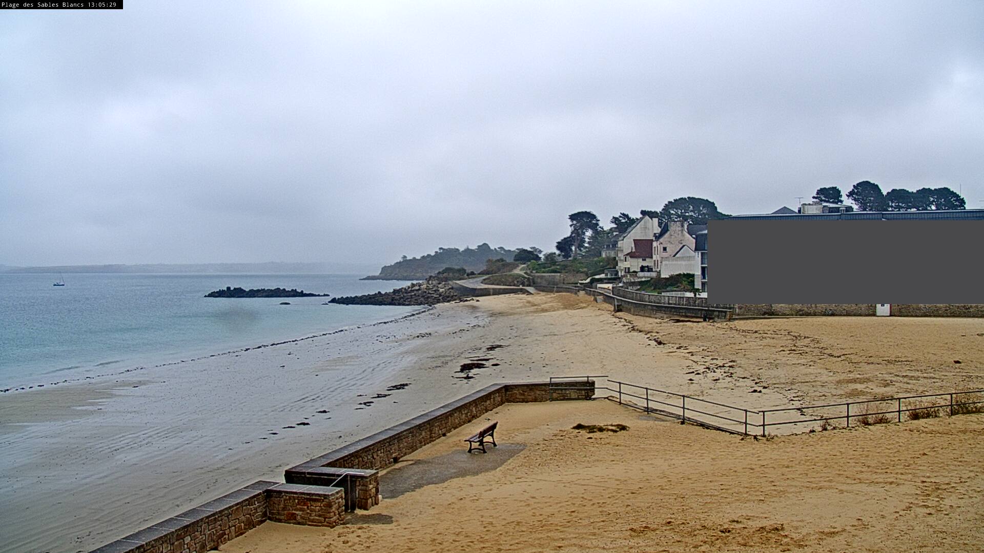 Webcam Image